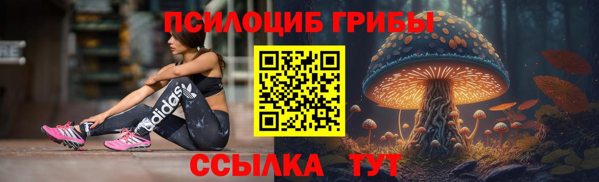 где купить   Псилоцибиновые грибы Psilocybine cubensis  Вход с VPN  Псилоцибиновые грибы ЛСД  Топки 